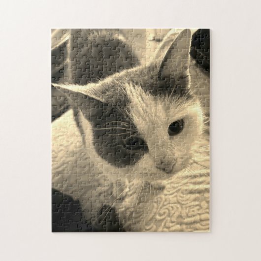 252ピースパズル ジグソーパズル (縦)