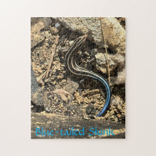 252ピースパズル ジグソーパズル (縦)