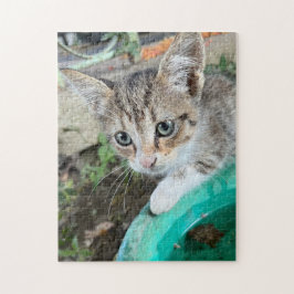 252ピースパズル ジグソーパズル