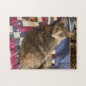 252ピースパズル ジグソーパズル (横)