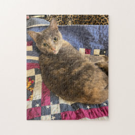 252ピースパズル ジグソーパズル