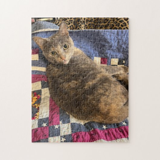 252ピースパズル ジグソーパズル (縦)