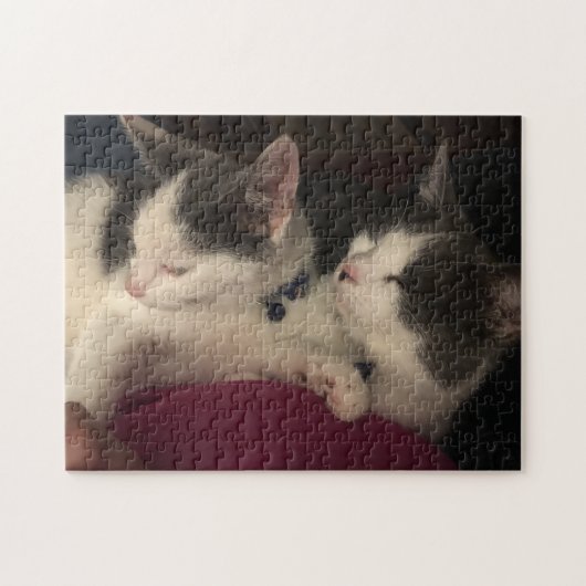 252ピースパズル ジグソーパズル (横)