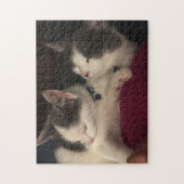 252ピースパズル ジグソーパズル (縦)