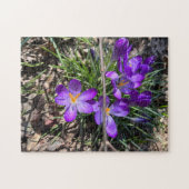 252ピースパズル ジグソーパズル (横)