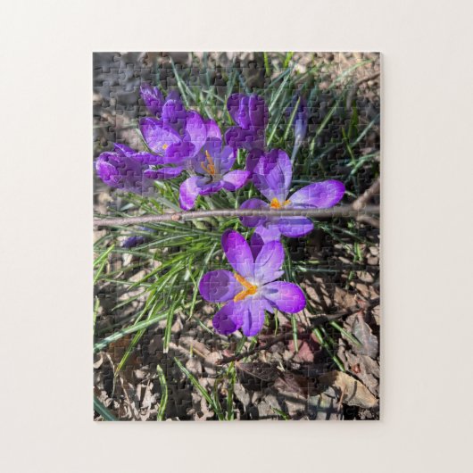 252ピースパズル ジグソーパズル (縦)