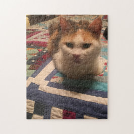 252ピースパズル ジグソーパズル