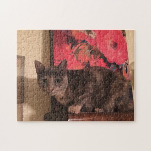 252ピースパズル ジグソーパズル (横)