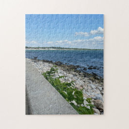 252ピースパズル ジグソーパズル