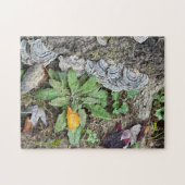 252ピースパズル ジグソーパズル (横)