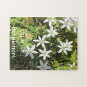 252ピースパズル ジグソーパズル (横)