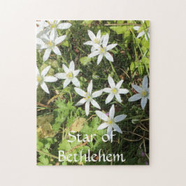 252ピースパズル ジグソーパズル