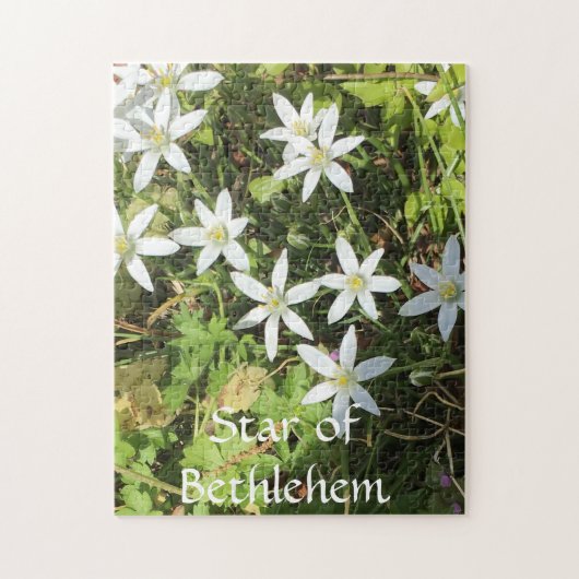 252ピースパズル ジグソーパズル (縦)