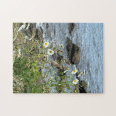 252ピースパズル ジグソーパズル (横)