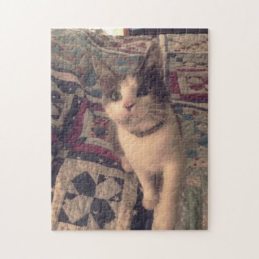 252ピースパズル ジグソーパズル (縦)