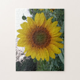 252 Piece Puzzle Featuring a Bold Sunflower Photo ジグソーパズル