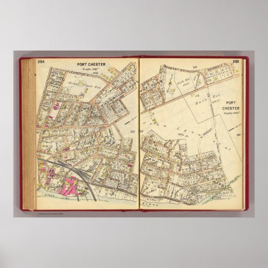 254255ポートチェスター ポスター (正面)