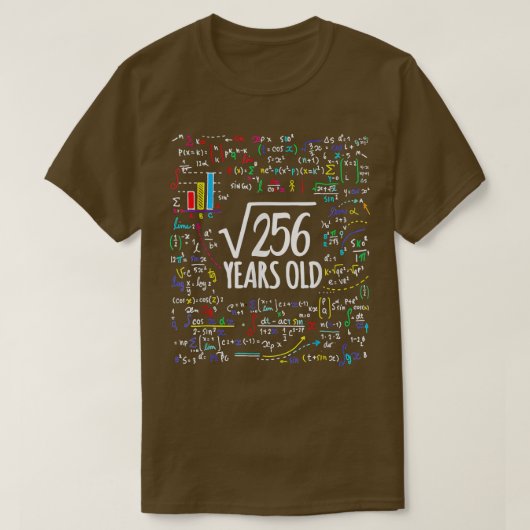 256の平方根16誕生日16歳の数学 Tシャツ (デザイン正面)