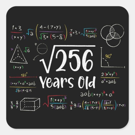 256 16誕生日16歳のギフトの平方根 スクエアシール (正面)