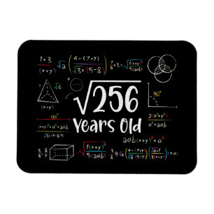 256 16誕生日16歳のギフトの平方根 マグネット