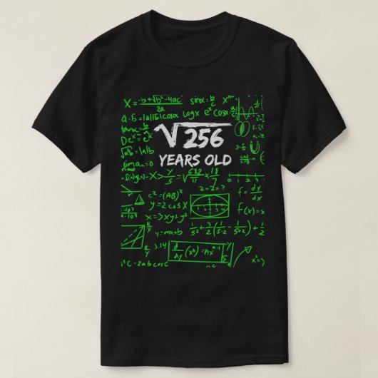 256 16誕生日16歳Gifの平方根 Tシャツ (デザイン正面)