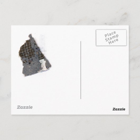 25 ポストカード (裏面)