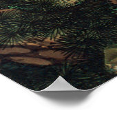 25. 老松白鳳図, 若冲 Pine-tree & Phoenix, Jakuchu ポスター (角)