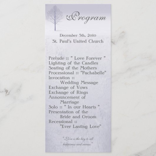 25 4x9結婚式 プログラムウィンターワンダーランドツリーズスノ プログラム (正面)