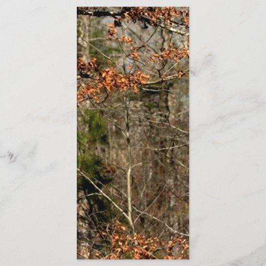 25 4x9結婚式 プログラム狩りディアバックヘッド迷彩柄 プログラム (裏面)