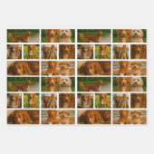 25 Photo Collage Personalized Template ラッピングペーパーシート (正面3)