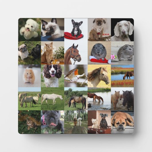 25xPhoto Colageプラーク – ANY大事な行事 フォトプラーク (正面)