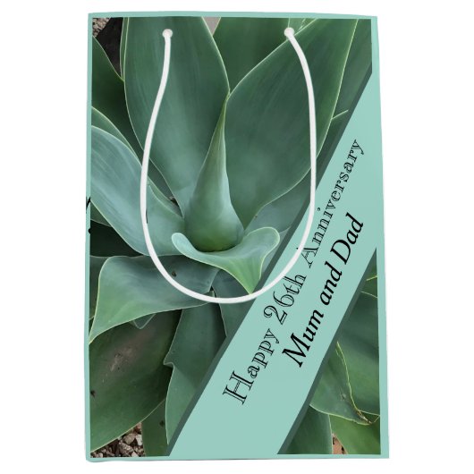 26周年記念結婚のジェイド ミディアムペーパーバッグ (正面)