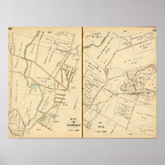 260261リリー、ハリソン ポスター (正面)