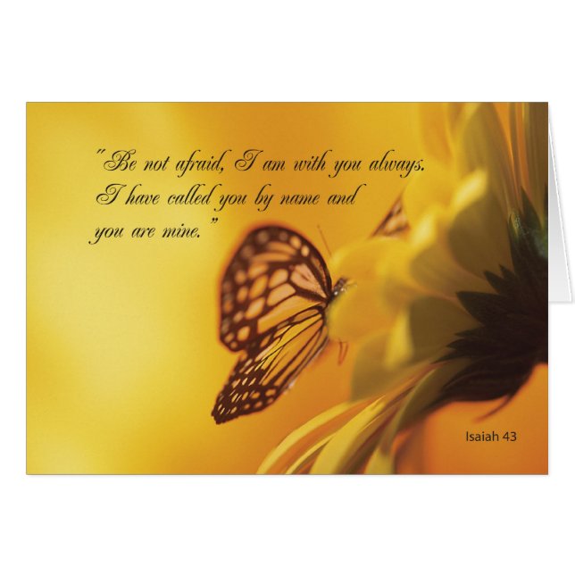 2607蝶と花を恐れてはいけない (正面横)