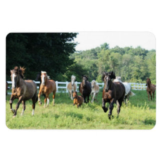 263.家畜と牧師長 マグネット