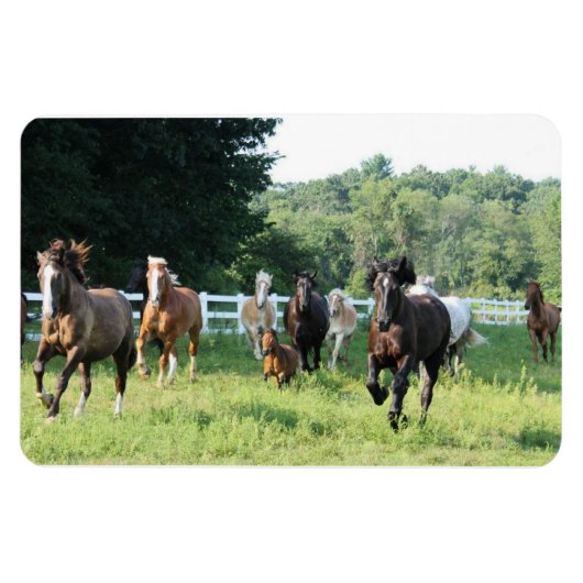 263.家畜と牧師長 マグネット (横)