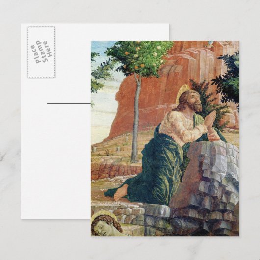 263.庭の苦悩 ポストカード (正面/裏面)