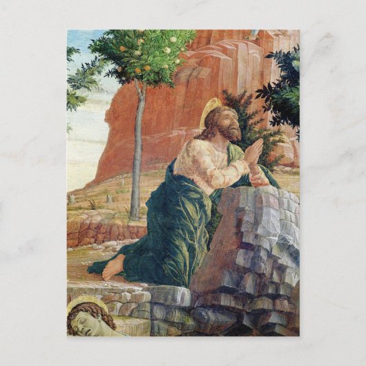 263.庭の苦悩 ポストカード (正面)