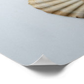 263.椿と貝殻 ポスター (角)