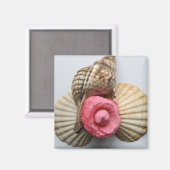 263.椿と貝殻 マグネット (正面/裏面)