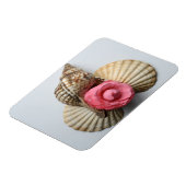 263.椿と貝殻 マグネット (左側)