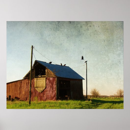 263.禿鷹と納屋 ポスター (正面)