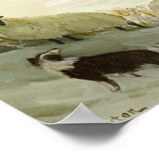 263.野良羊 ポスター (角)