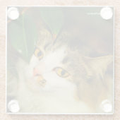 264.お洒落ネコと椿 ガラスコースター (裏面)