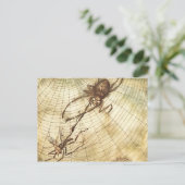 264.ブヨとライオン ポストカード (スタンド正面)