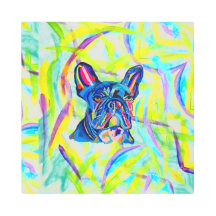 267 – ブルフランスのドッグ愛