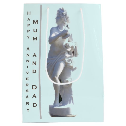 27周年記念彫刻編集可能 ミディアムペーパーバッグ (裏面)