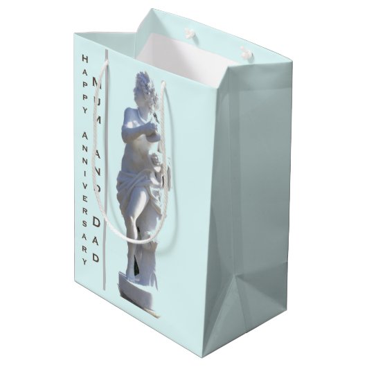 27周年記念彫刻編集可能 ミディアムペーパーバッグ (裏面アングル)