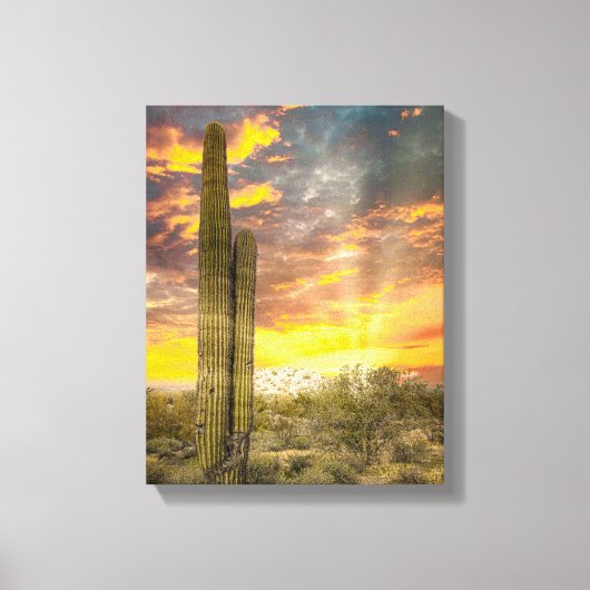 2706 – アリゾナ砂漠アットサンセット キャンバスプリント (正面)