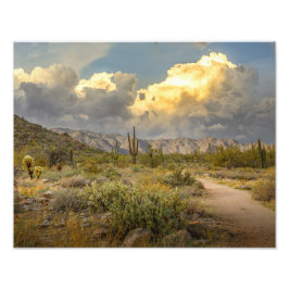 2729 – アリゾナ砂漠の風景（日の入り） フォトプリント           